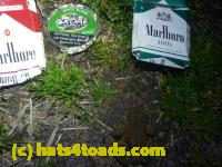 /home//u458753944/public_html/sourcegallery//Roxborough Toad Detour/2013-2019/2013/2013-04-18/P1120184.JPG
